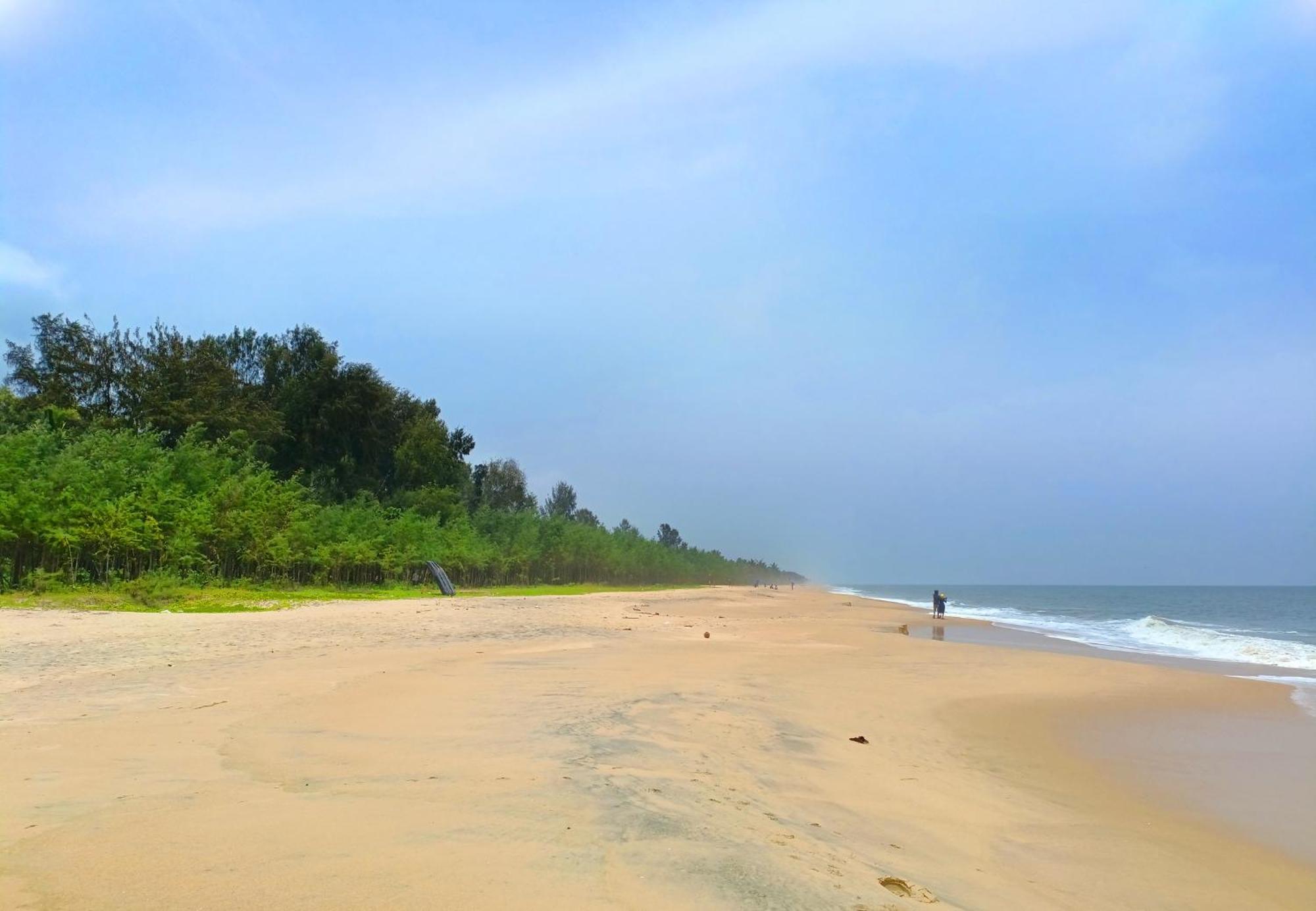 Marari Beach Cleetus Homestay Mararikulam Eksteriør billede
