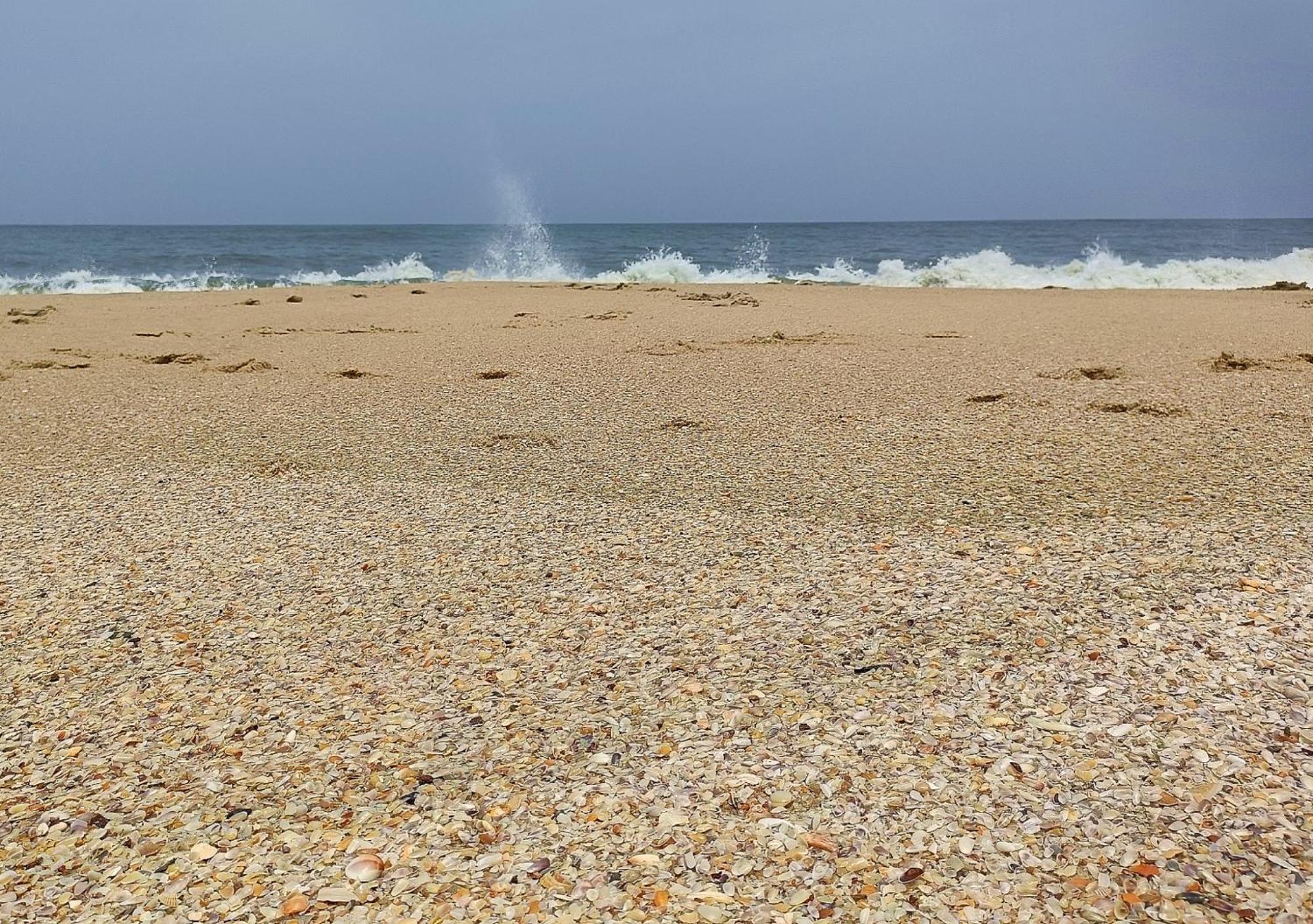 Marari Beach Cleetus Homestay Mararikulam Eksteriør billede